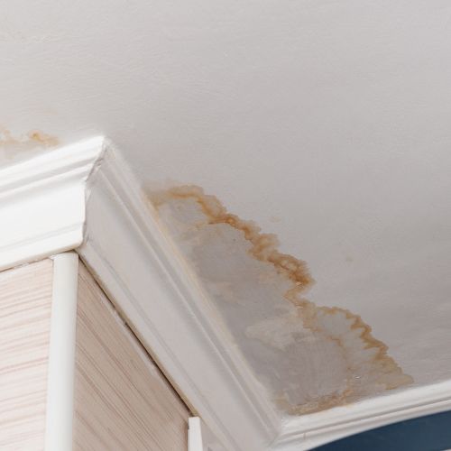 Ceiling with Water Stains