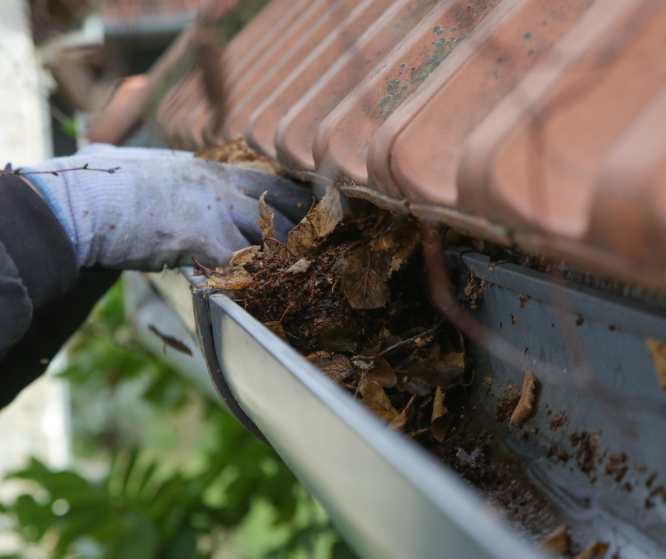 gutter maintenance preventing water damage along roof edge