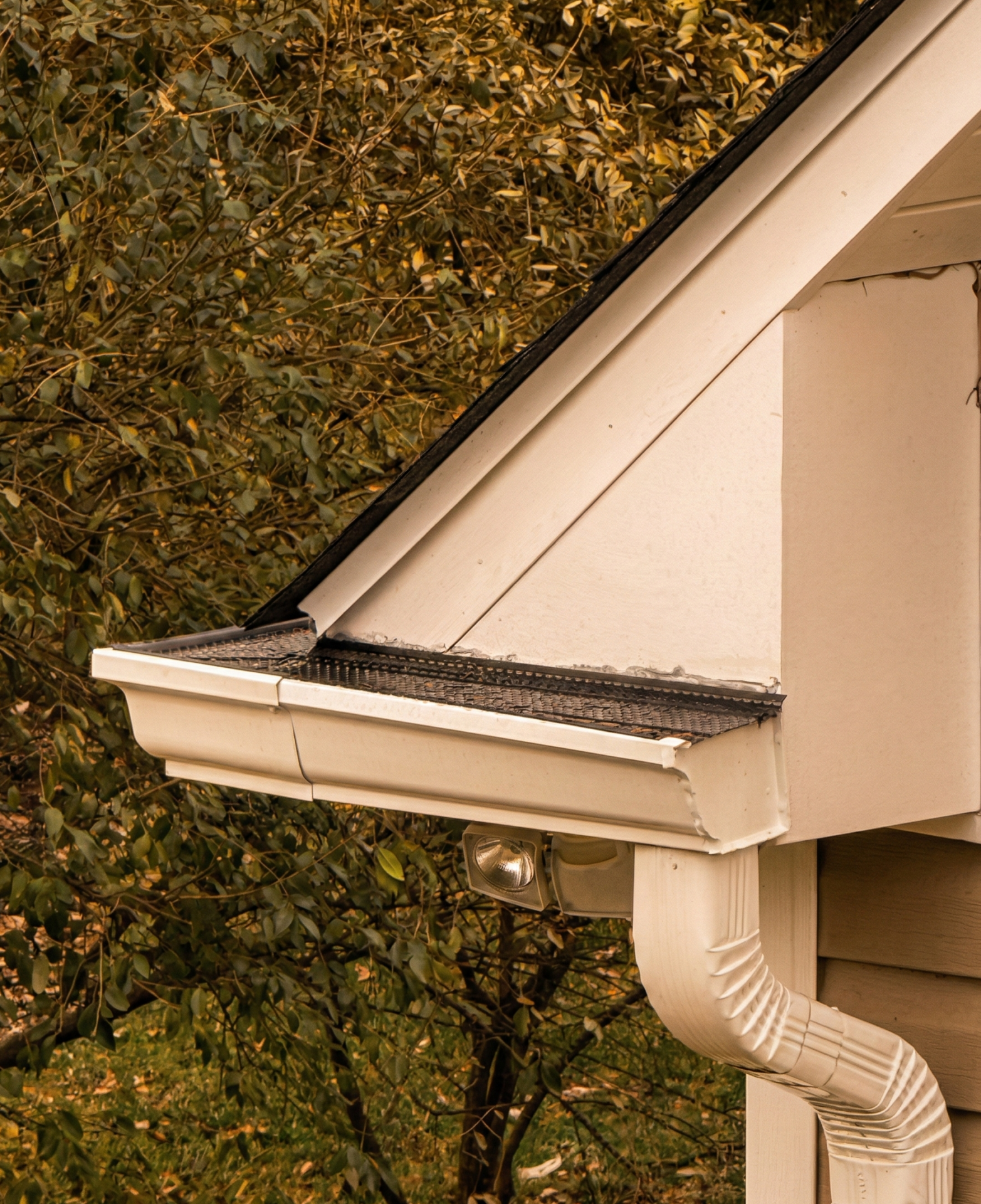 gutter maintenance